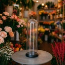 Dome Vase - GS-1002