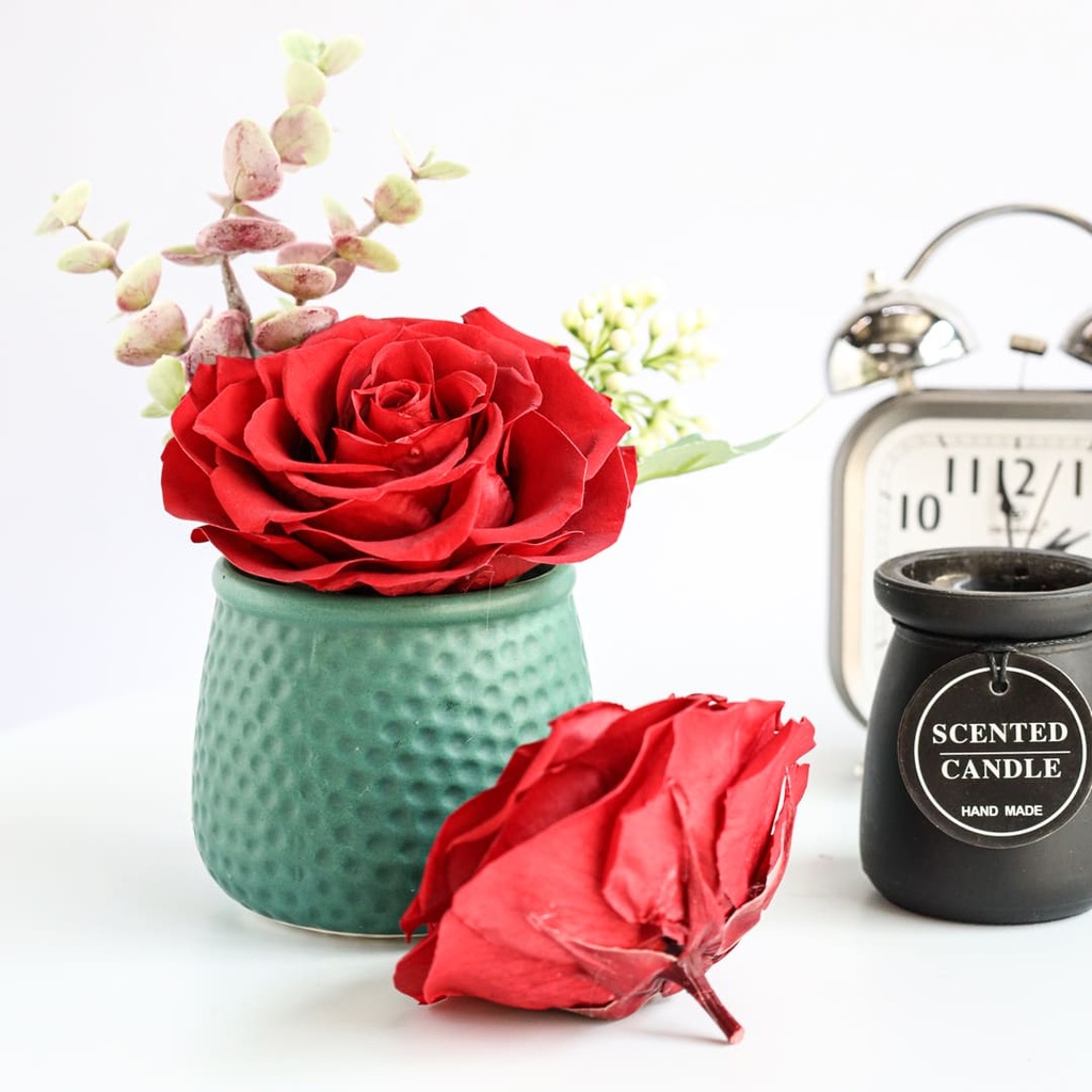 Preserved Flower FLW-388-A