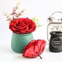 Preserved Flower FLW-388-A