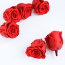 Preserved Flower FLW-389-A