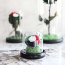 Preserved Flower UAE-32