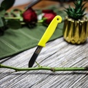 Florist Knife