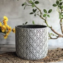 Adana Hazel Cylinder Silver D18 H17