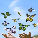 Flying Butterfly Toy