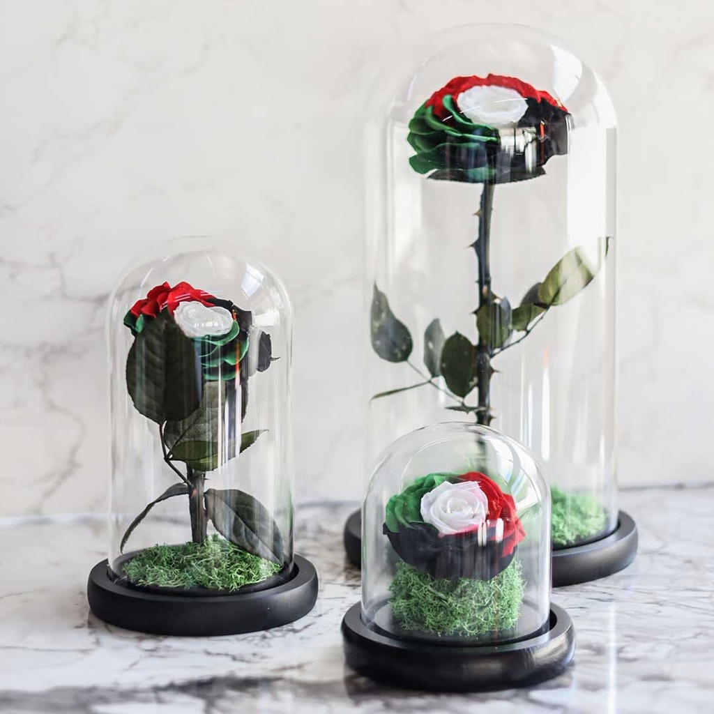 Preserved Flower UAE-32