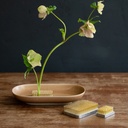 Floral Frog Kenzan - Rectangle