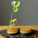 Floral Frog Kenzan - Round