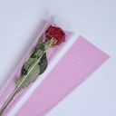 Single Rose Sleeve - #07