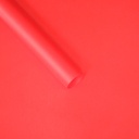 Gift Paper - Translucent