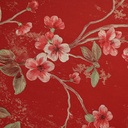 Gift Paper - Dragon-Plum Blossom