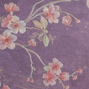 Gift Paper - Dragon-Plum Blossom