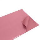 Gift Paper - Gramado