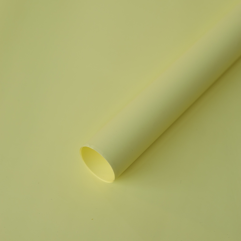 Gift Paper - Economica