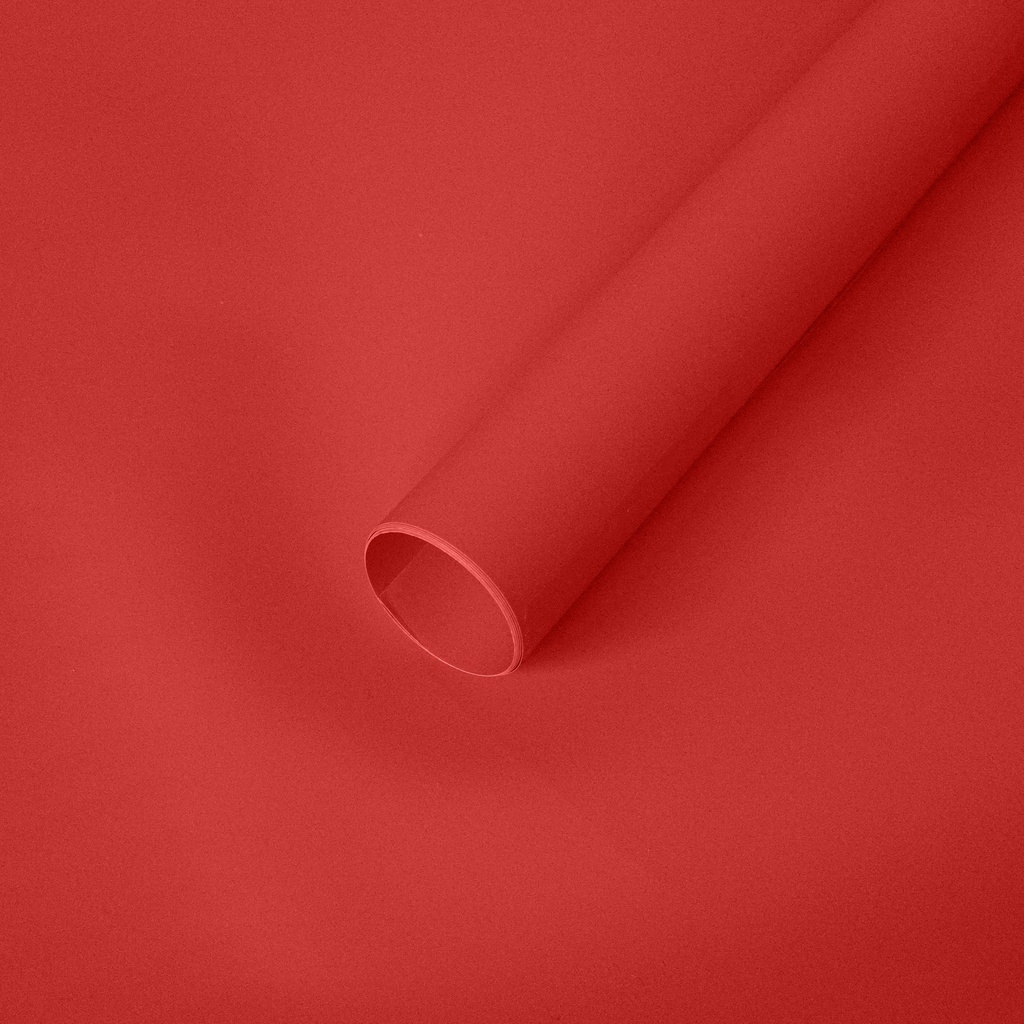 Gift Paper - Economica