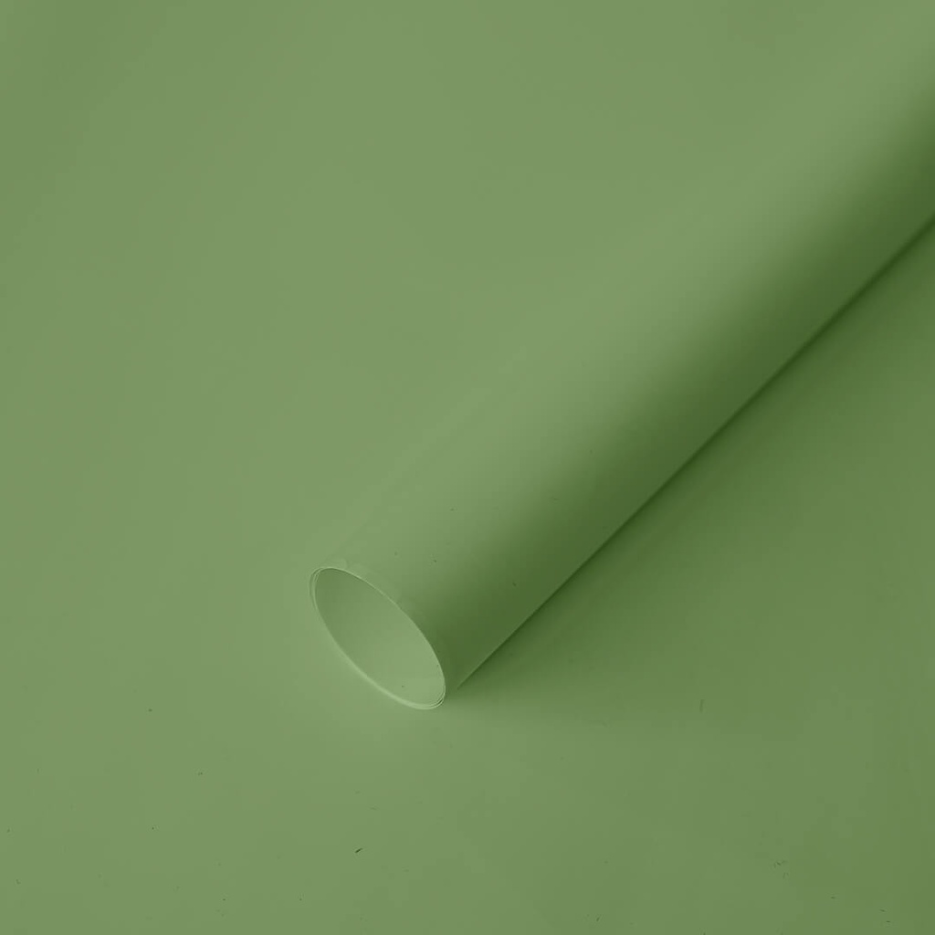 Gift Paper - Economica