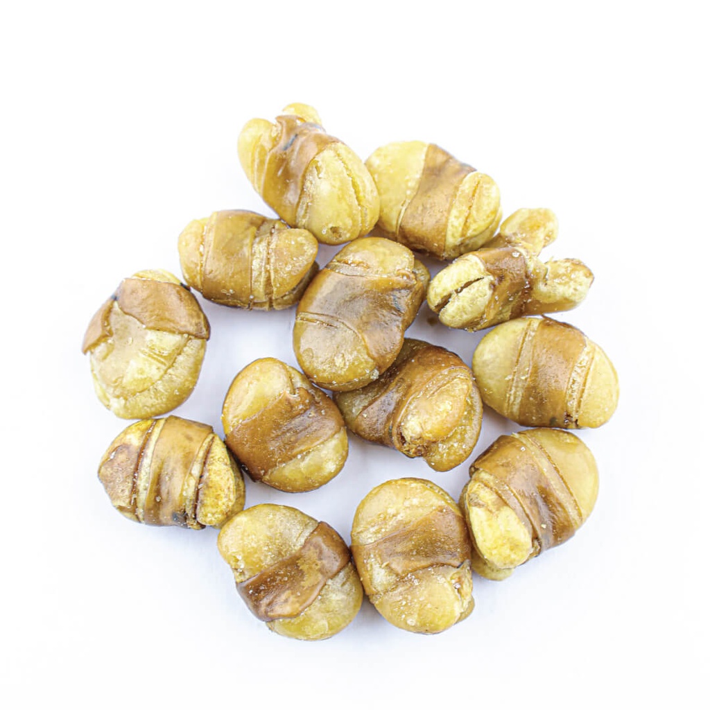 Fava Bean Salted