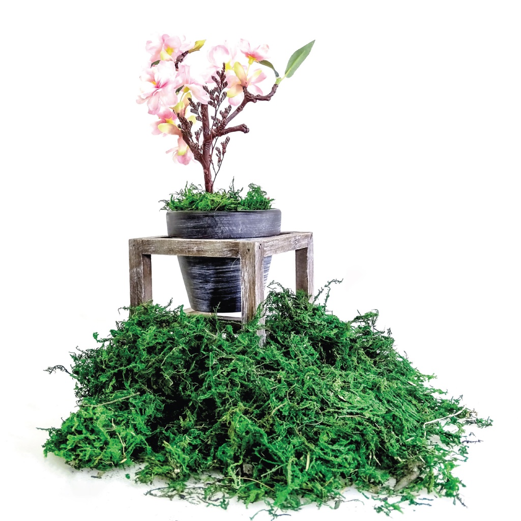 Artificial Moss - Green