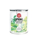 SPRING LEAFSHINE