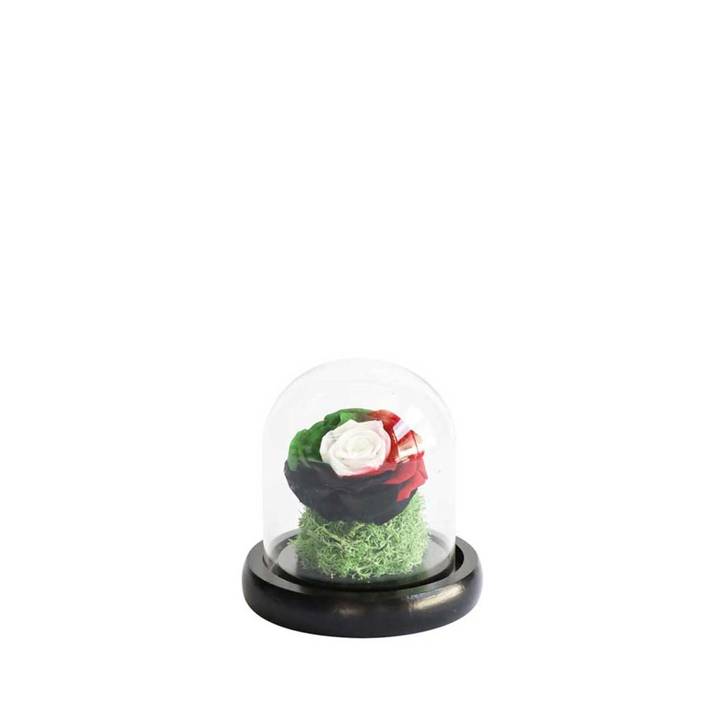 Preserved Flower UAE-32