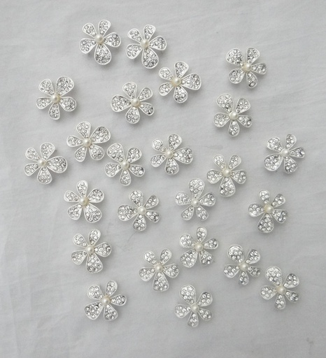 [05-011-37804] Crystal Accessories DC-51