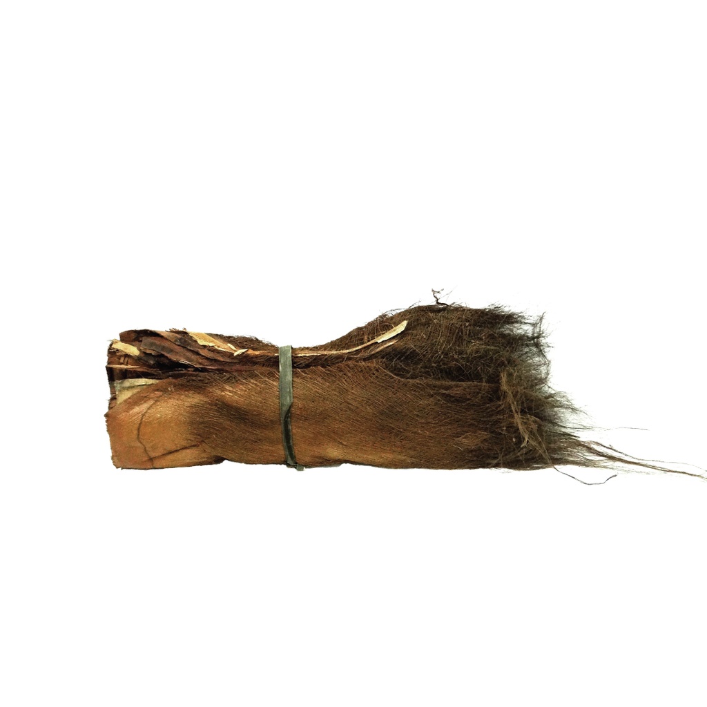 PALM BARK