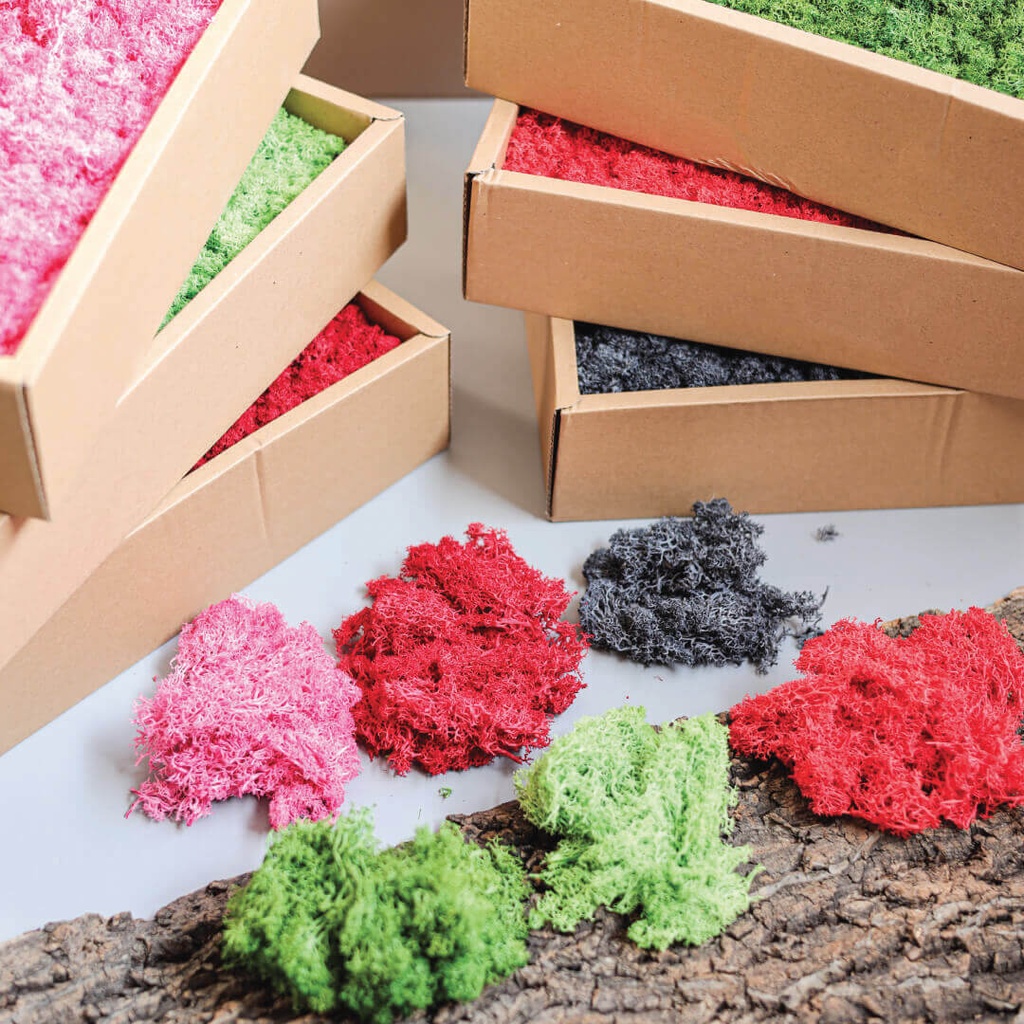 Natural Moss